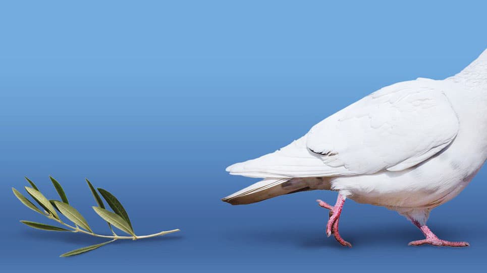 Alternative text missing