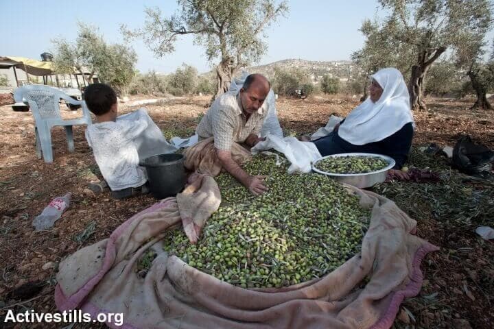 Alternative text missing