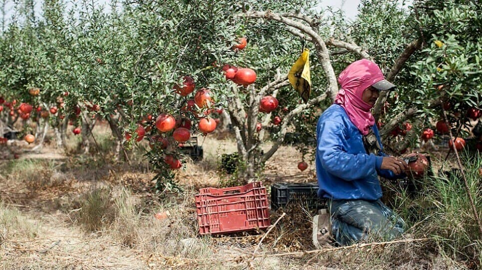 Alternative text missing