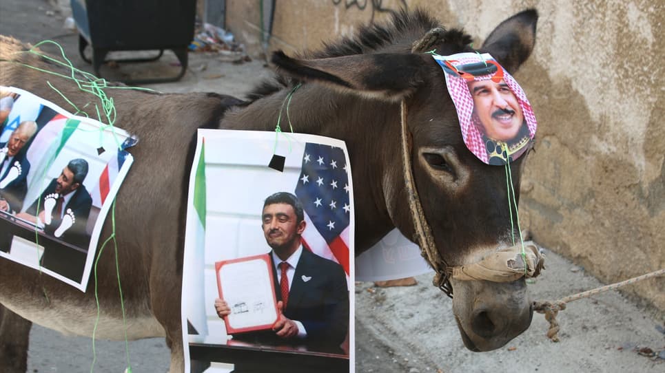 Alternative text missing