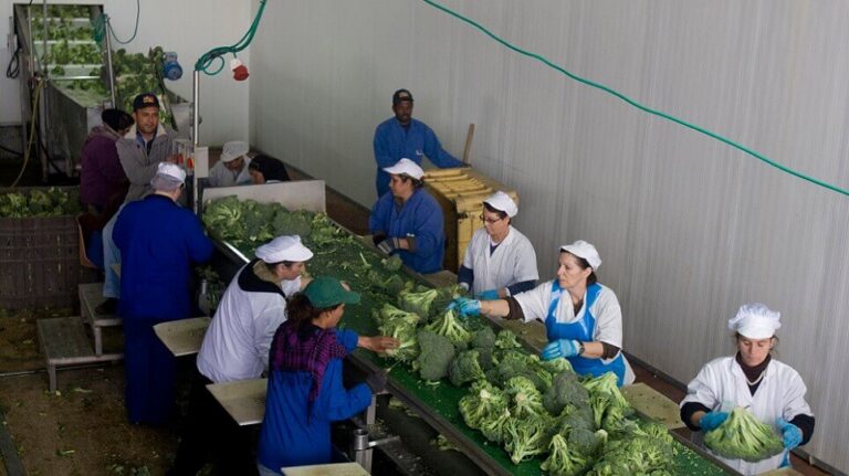 this is the alt text