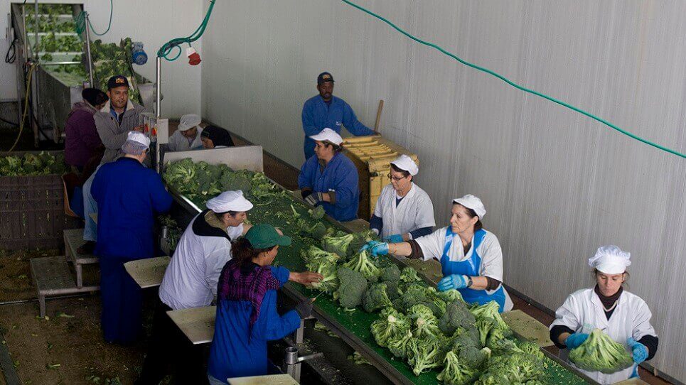 this is the alt text