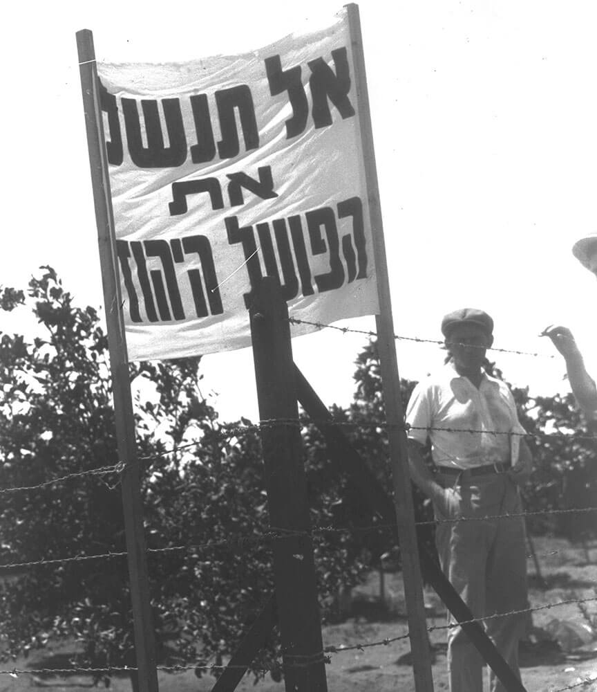  Jüdische Demonstrant*innen fordern die Einstelllung jüdischer Arbeiter*innen. Orangenplantage in Kfar Saba, 1927. Foto: GPO
